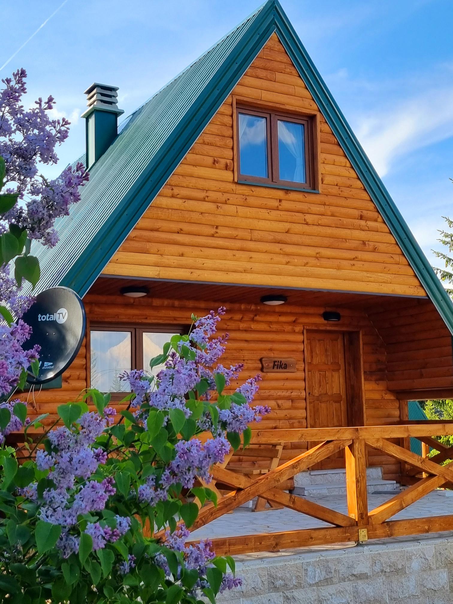 Prikaz apartmana Fika 1